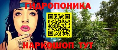тгк Ипатово